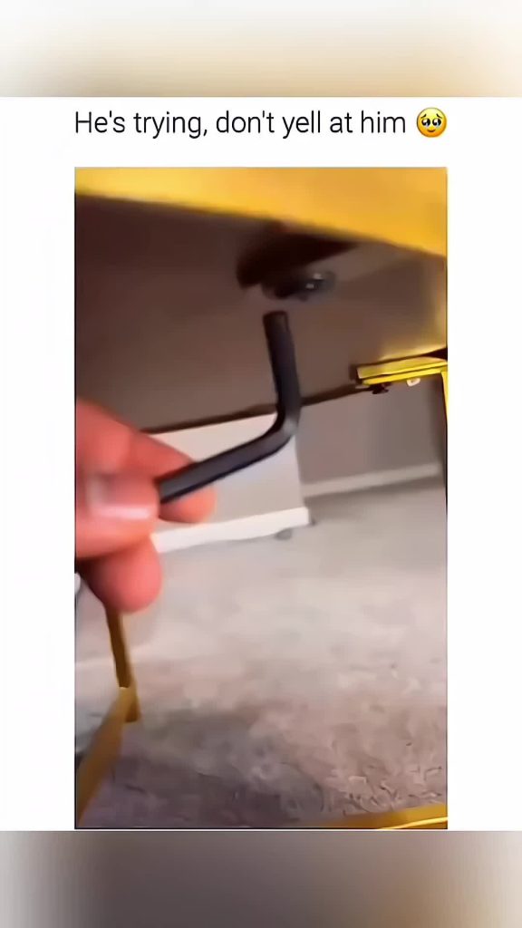 @love.animals746 funny animals #pet #cat #dog #cute #animals #foryou #typ ...