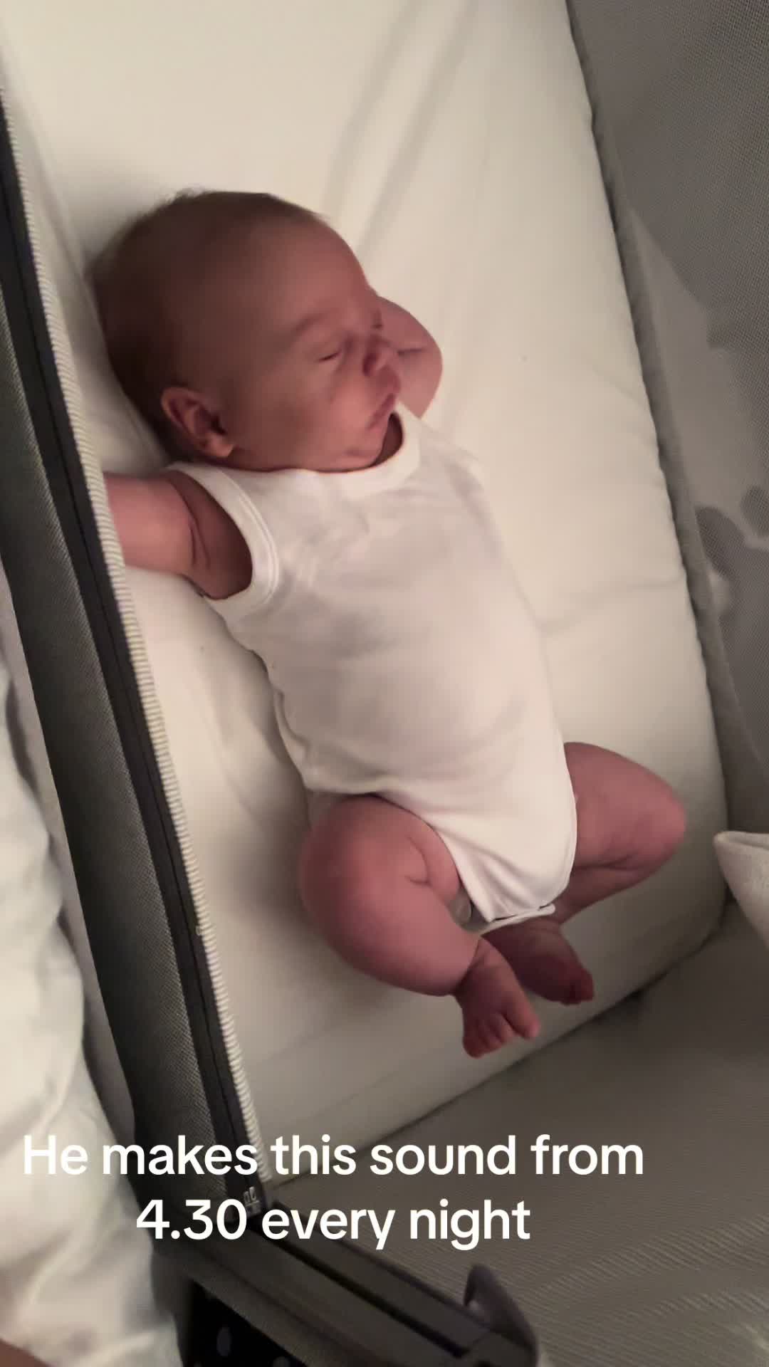 @alexandralangley4 Tiktok please help. He does this grunting from 3-5 every nigh...