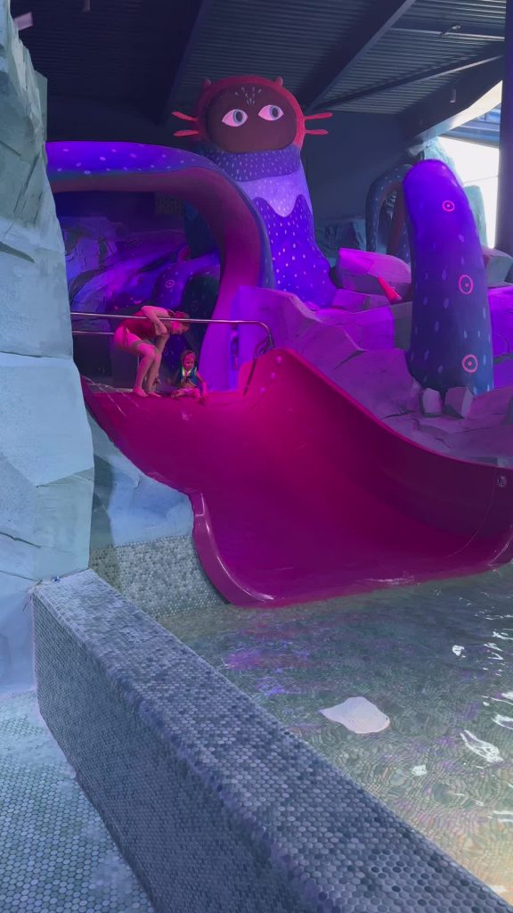 @floflo090899 On a adoré y aller avec les enfants c’était top #vlog #maternity #...