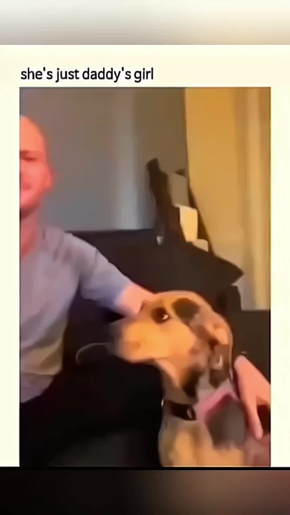 @love.animals746 funny animals #pet #cat #dog #cute #animals #foryou #typ ...