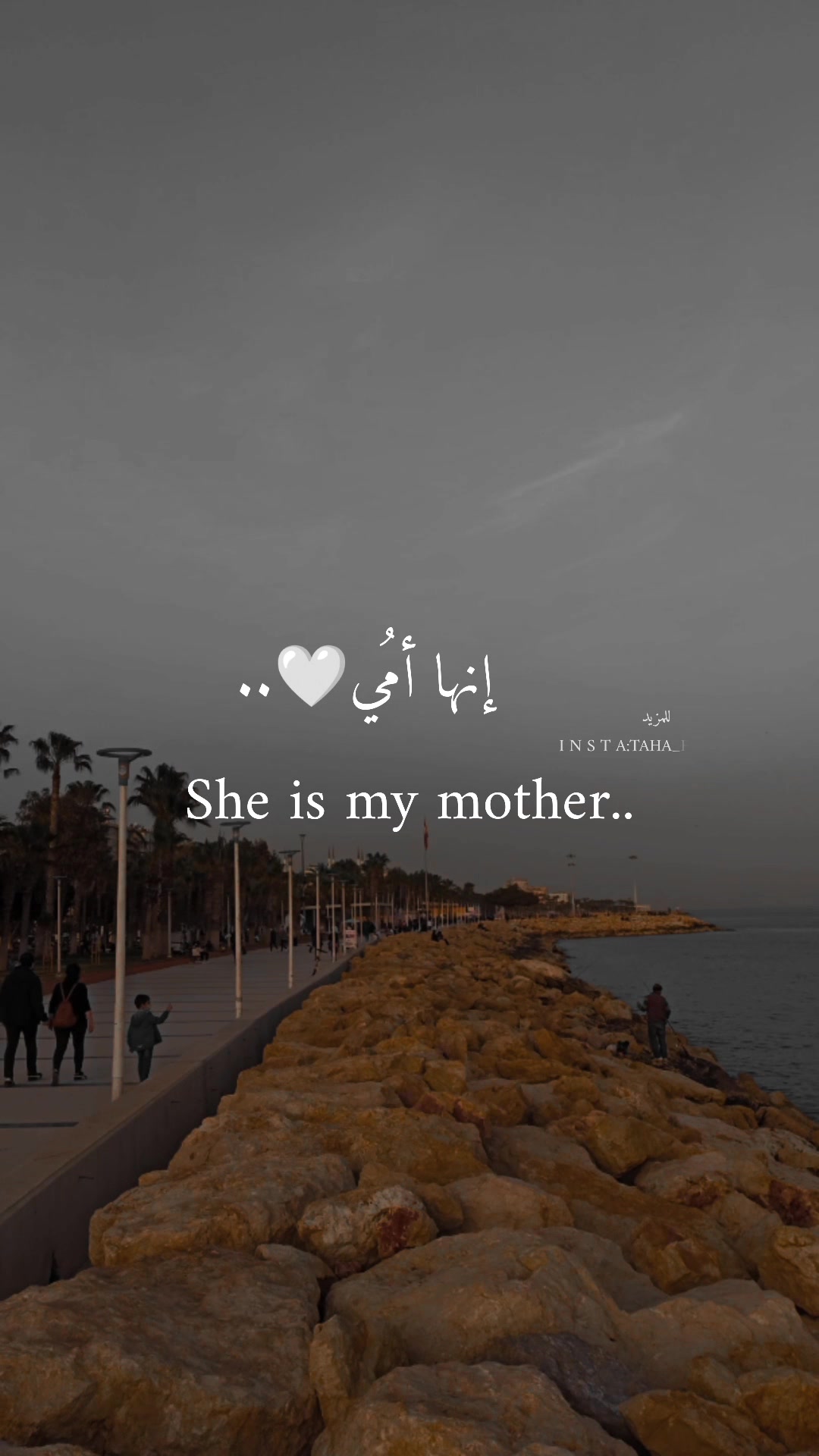 @tahayahya9  ...