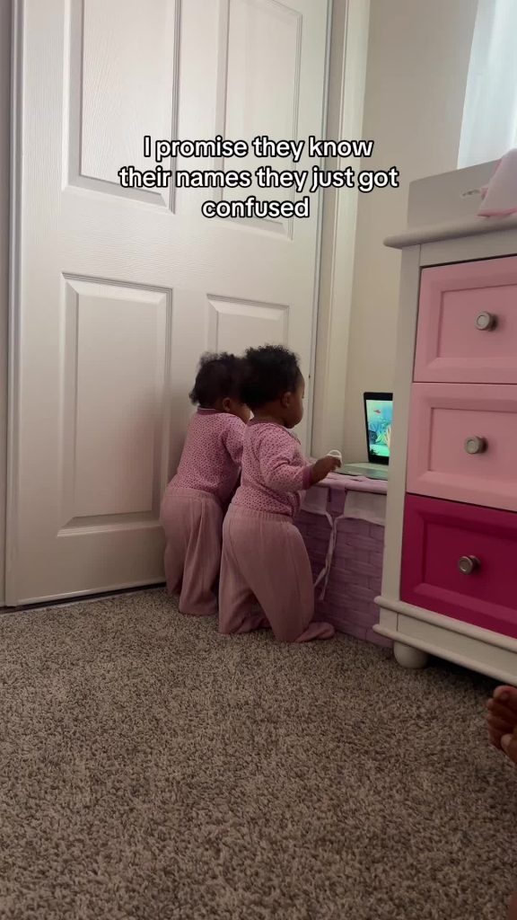 @twinmommalana It’s just funny cause they know their names  ...
