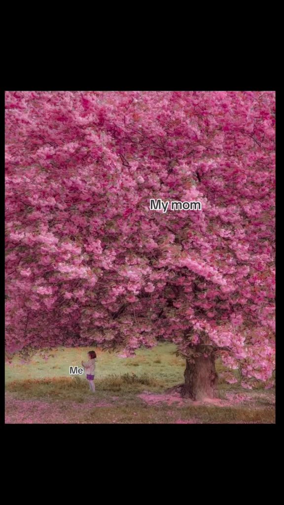 @unknownuseerr01  ...