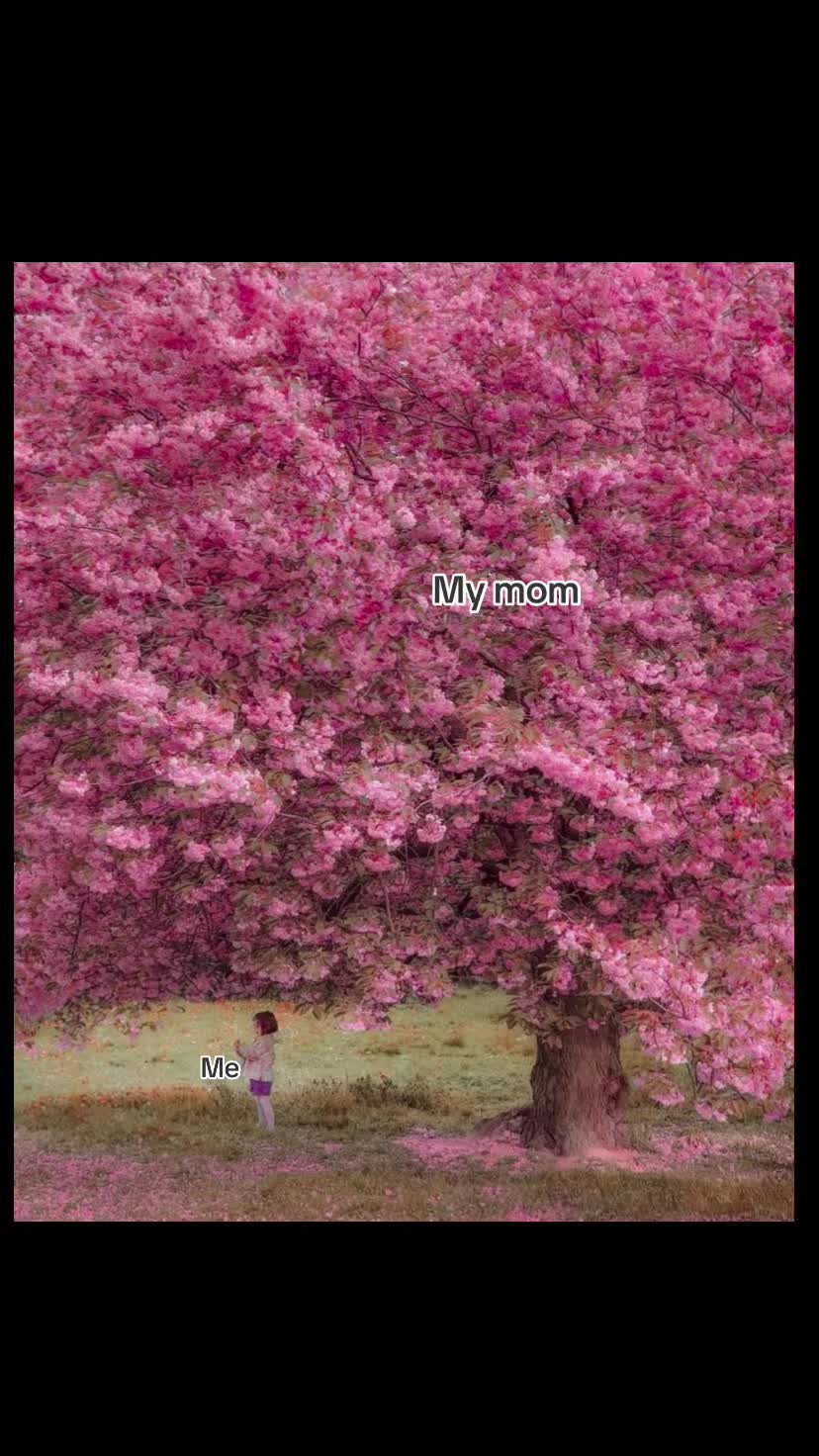 @unknownuseerr01  ...
