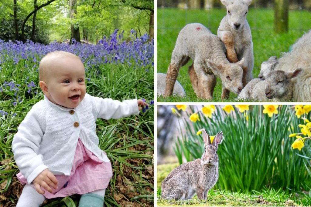 Adorable snaps of baby and lambs to help showcase spring
