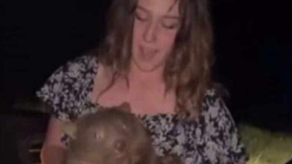 Australian PM issues scathing comment to influencer who snatched baby wombat from its mother - World News