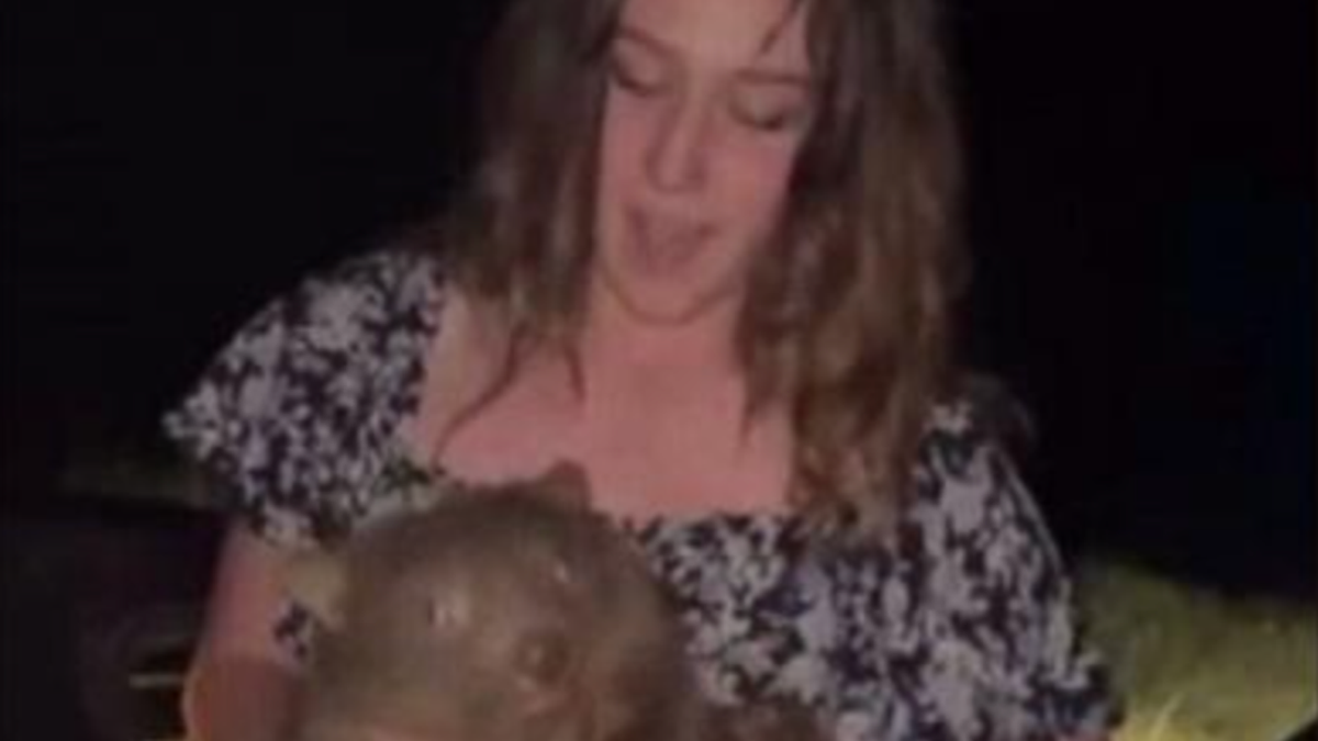 Australian PM issues scathing comment to influencer who snatched baby wombat from its mother - World News