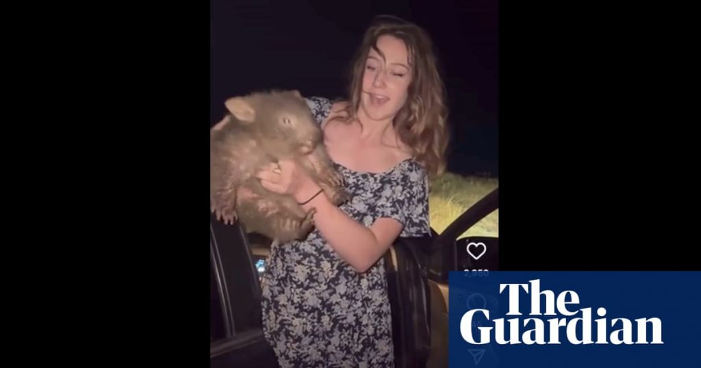 Baby wombat grabber Sam Jones leaves Australia after intense backlash including from PM and immigration minister | Wildlife