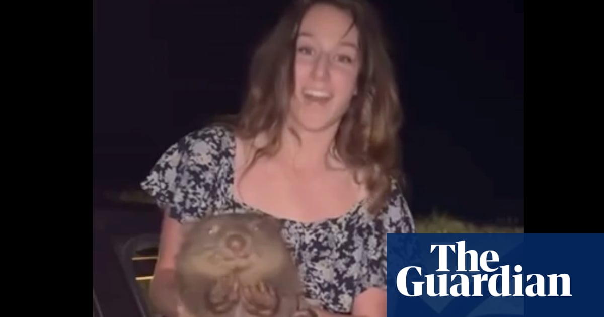 Baby wombat-snatching US influencer apologises and says she was ‘concerned’ for Australian animal | Wildlife