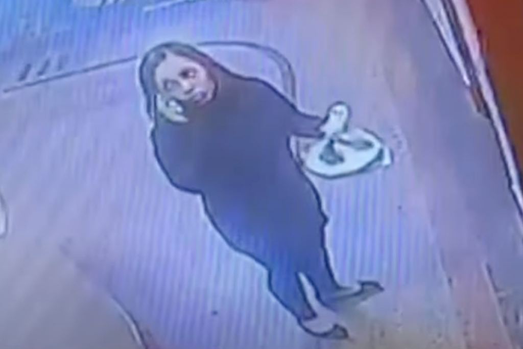 Body of missing Bronx woman who had asked mother to ‘pray for her’ in final phone call found in suitcase in creek