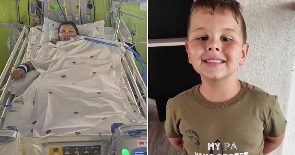 Boy, 7, has arm ripped off by crocodile in front of parents while playing | News World