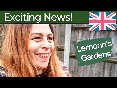 Gardening News x 2 British Single Mum Lifestyle Vlog February 2025