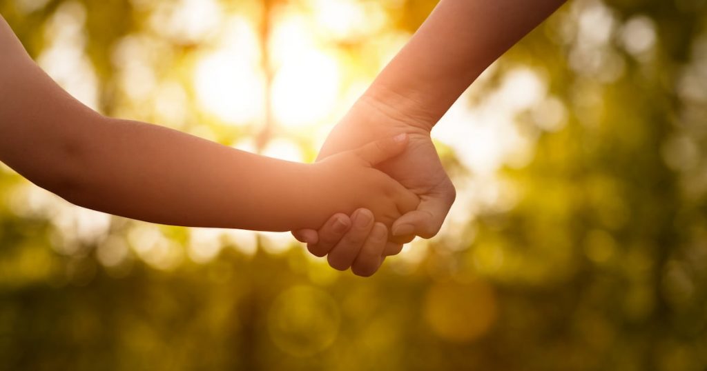 High Court approves adoption of boy by aunt against birth mother’s wishes – The Irish Times