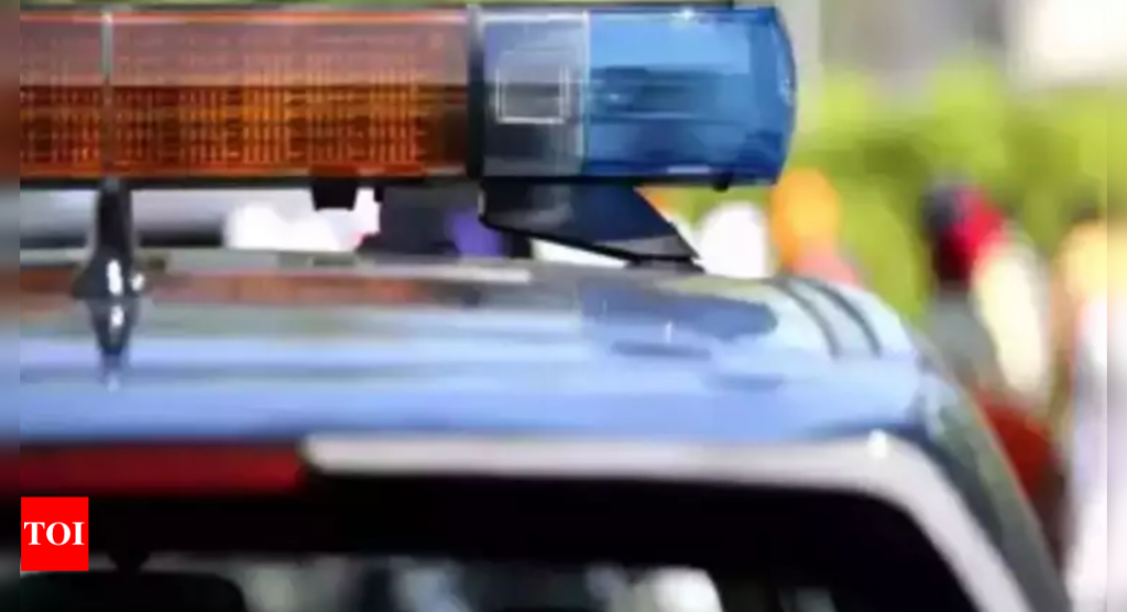 Honour killing: Father kills 19-year-old daughter over love affair in Gujarat's Bhavnaga | Rajkot News