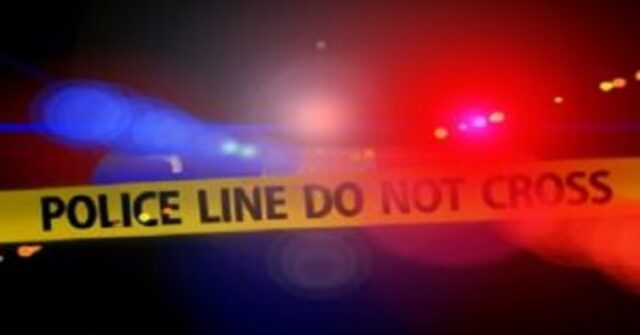 Indian Father daughter duo shot dead in Virginia