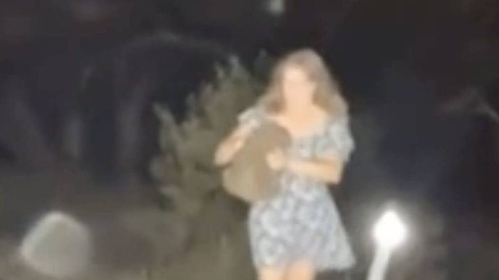 Influencer sparks outrage after taking baby wombat away from its mother