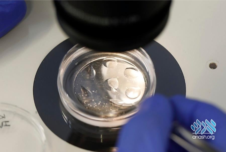 Israeli Court Favors Birth Parents in IVF Mix-Up Case
