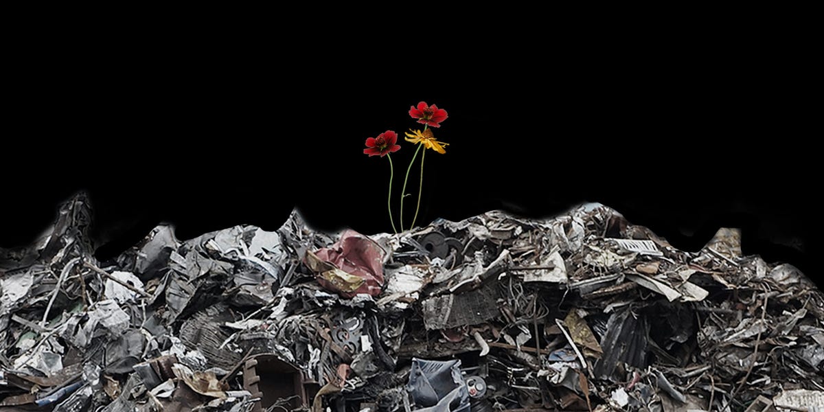 Martha Stewart, My Mother the Hoarder, and Me