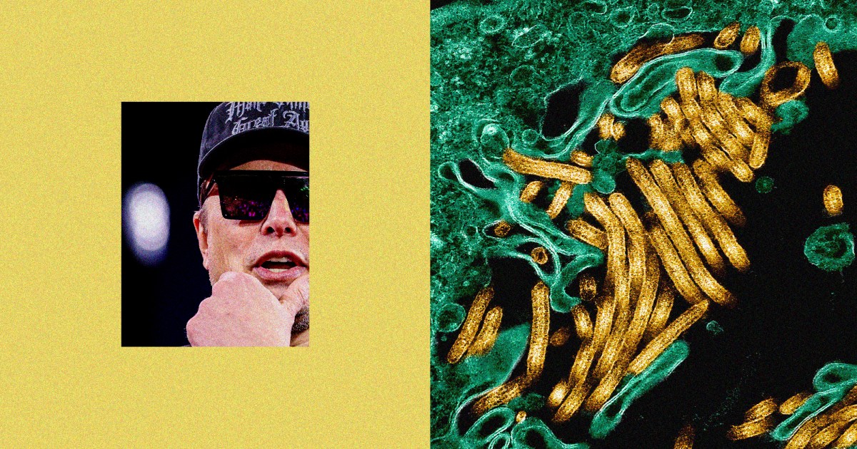 Musk’s Reckless Ebola Cuts Could Lead to Deadly Pandemics – Mother Jones