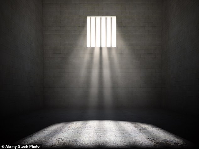 Paedophile sex ring of fathers who 'raped their daughters' is busted in Japan: Police arrest group of men who 'filmed themselves abusing their own children aged 6-14 and shared footage online'