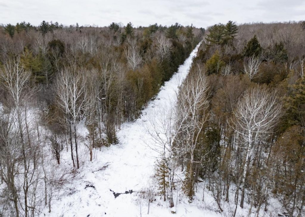 RCMP rescue parents and their 2 toddlers found 'frozen' after crossing U.S. border into Canada
