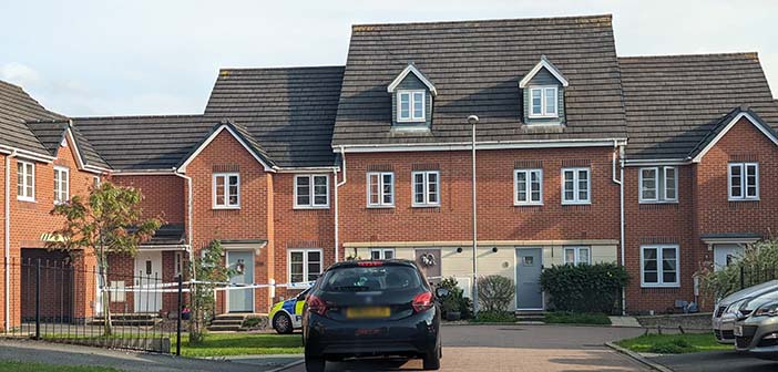 Teenager sentenced for manslaughter of mother