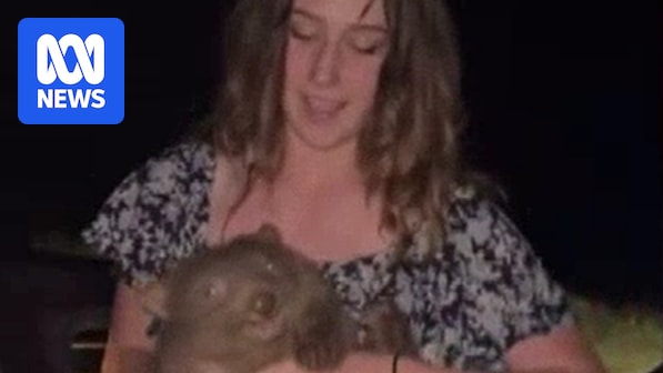 US influencer apologises for snatching baby wombat away from its mother