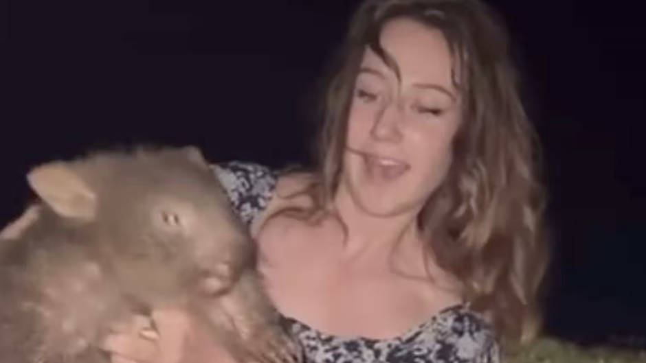 US influencer flees Australia following backlash over video of her snatching baby wombat...
