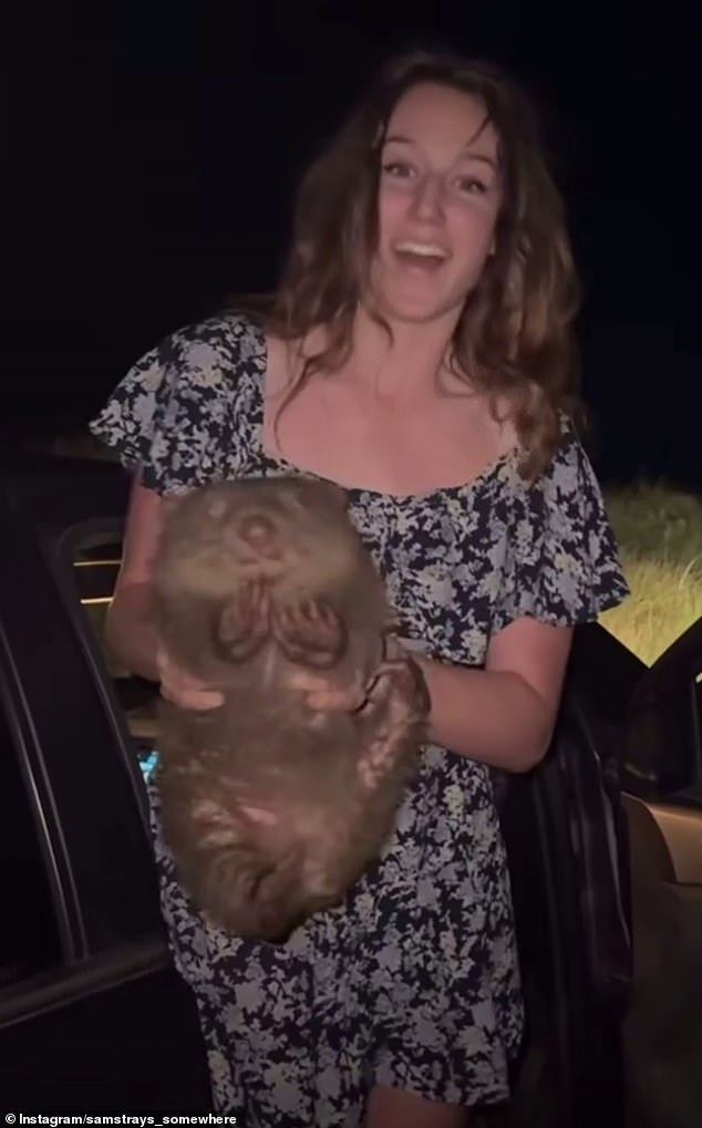 US tourist who enraged the world after manhandling a baby wombat flees Australia