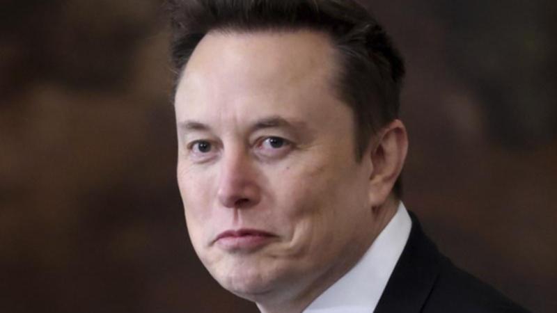 Vivian Jenna Wilson, daughter of Elon Musk, calls out father's involvement with ‘cartoonishly evil’ American government