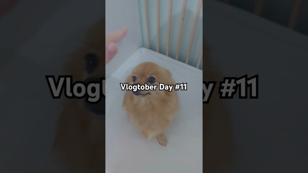 Vlogtober Day #11 🍂 #travelday #travelvlog #traveldiaries #vlogtober #livingwithatoddler #parenting