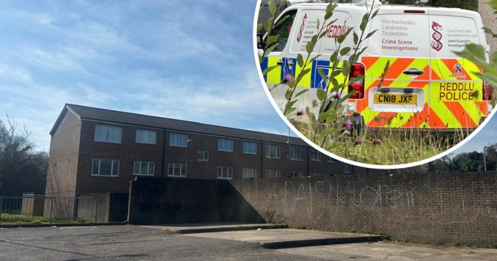 Woman interviewed by police following death of Newport baby