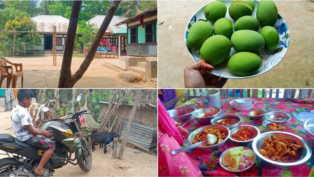 ঈদের পরে কোথায় কোথায় দাওয়াত খেতে গেলাম🤷‍♀️Bangladeshi village food vlog