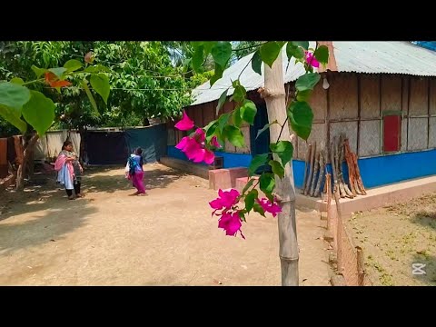 তাসনিম তাইফা র আপডেট 🤔 Bangladeshi Blogger Shilpi