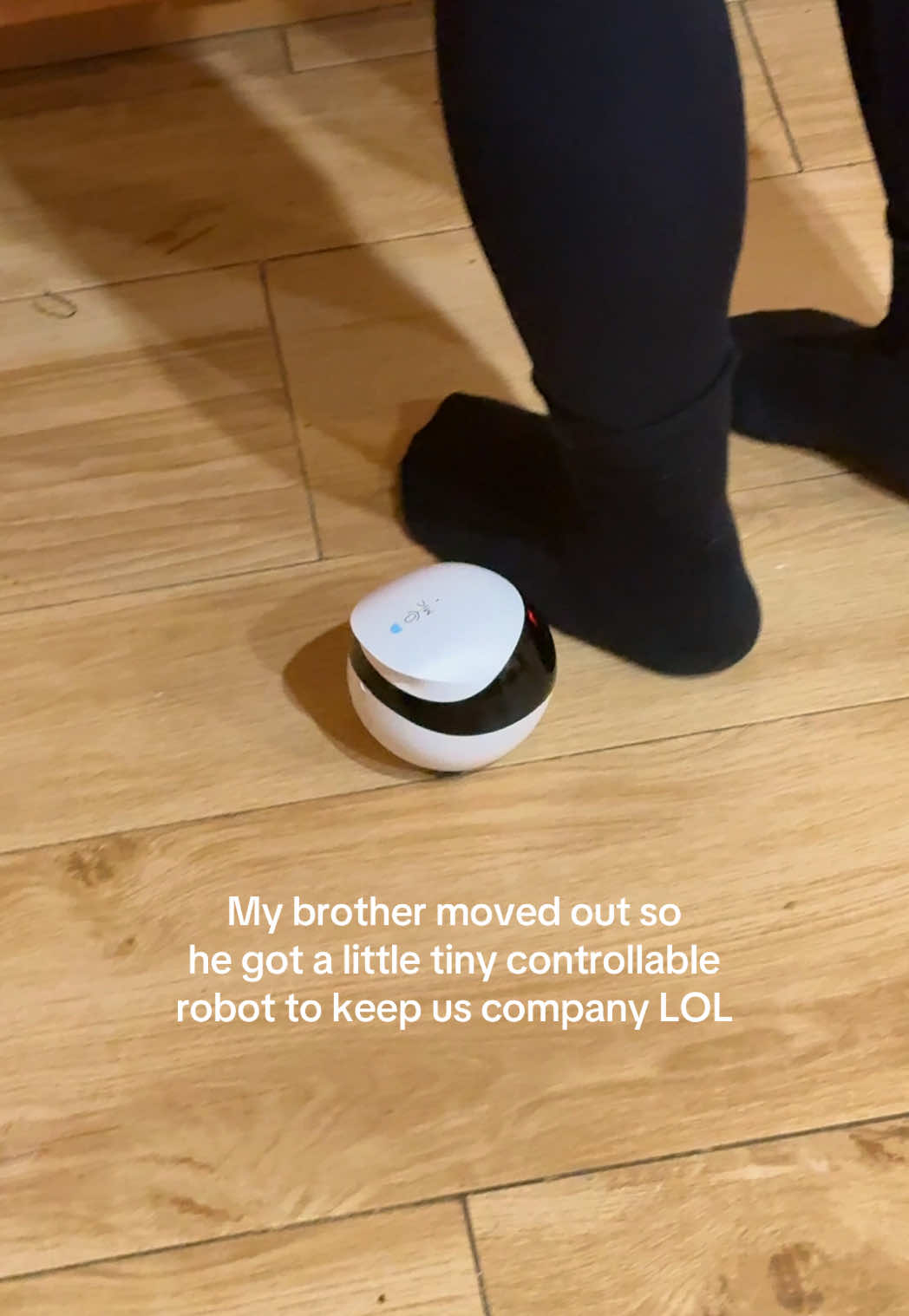 @ashleyseyoung this robot is actually the cutest thing ever robot pet funny @DAH...