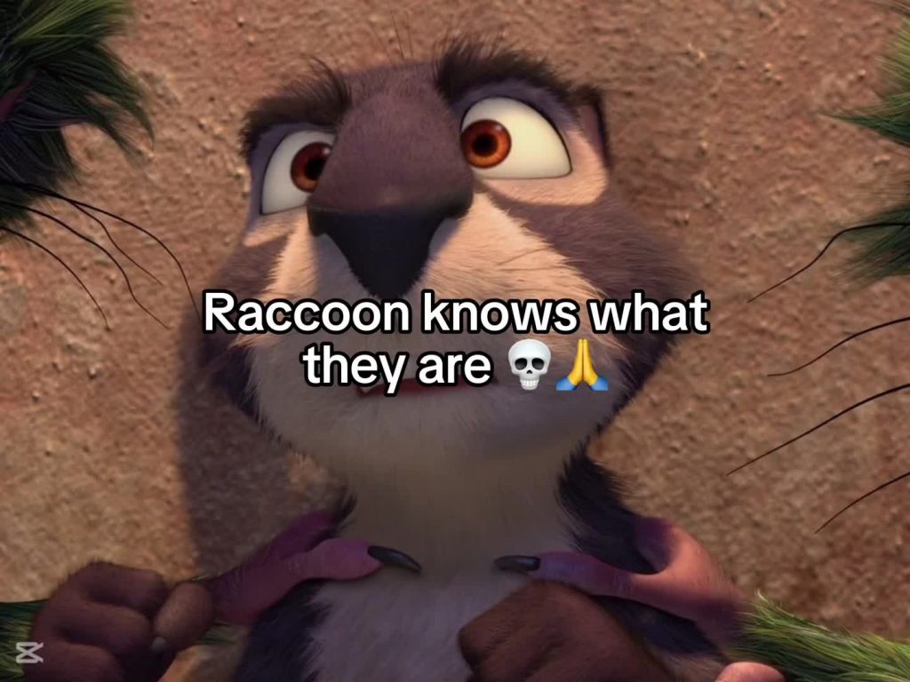 @goofygooberirl ; #THENUTJOB { #SURLY X #GRAYSON } :: — I know he said Andie aft...