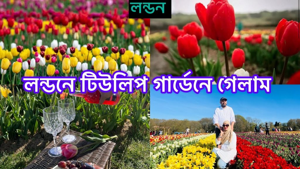 Bangladeshi mum London😍vlog-1146/Tulip garden london crawley /West Sussex/Tulleys Tulip Fest 2025