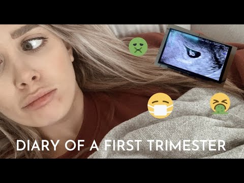 First trimester vlog and our early private scan | Second time Mum UK | First trimester