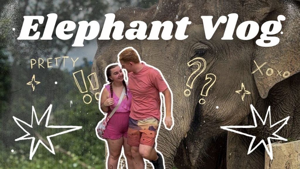 INCREDIBLE Chiang Mai Elephant Sanctuary Experience (Thailand Series) 🇹🇭
