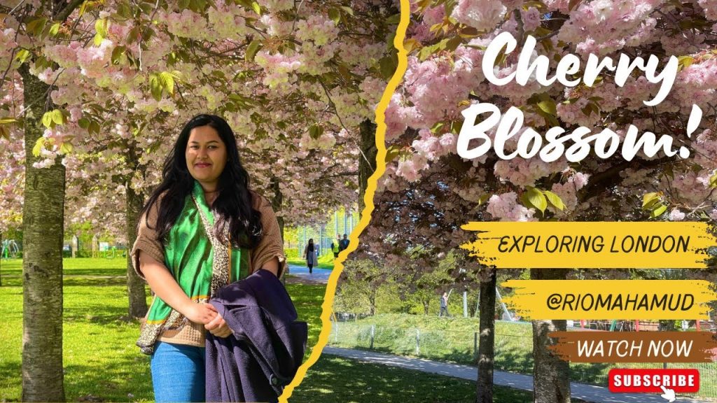 Magnificent Cherry Blossom in London 2025| লন্ডনের বসন্ত আর চেরি ফুল | Rio Mahamud (4K)