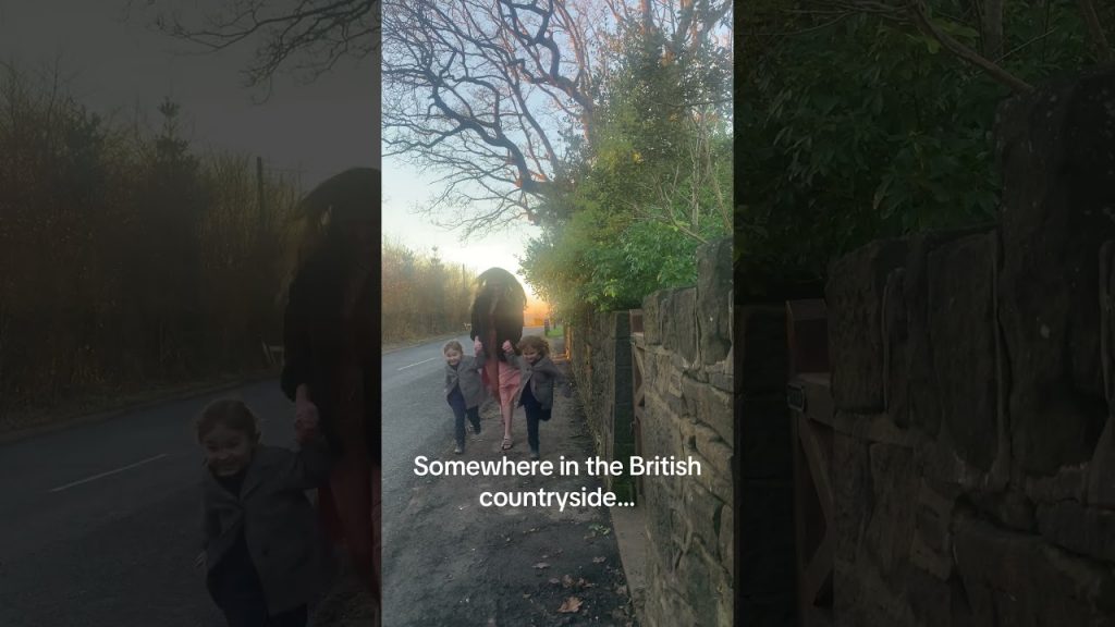 Somewhere in the British countryside #britishfamily#british#uk#britain#twins#rickyandrocky#goals#mum