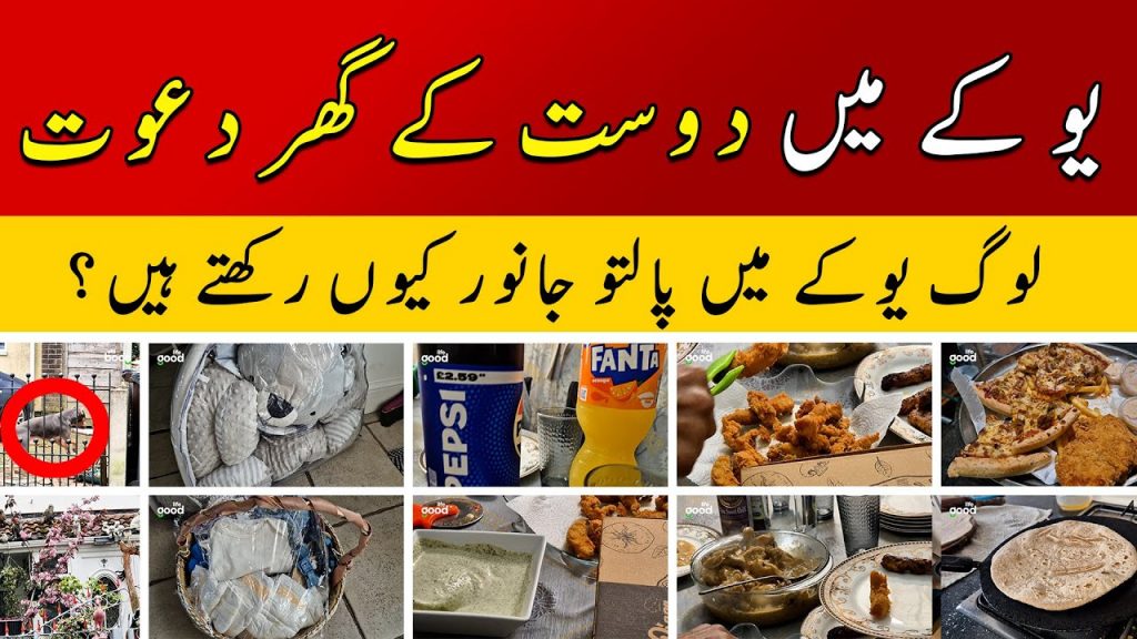UK Main Dost Ka Ghar Aur Dawat | Pakistani mom in UK | Daily vlog
