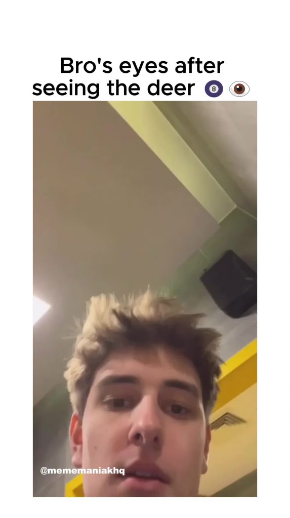 @mememaniakhq funnymemes fail fyp voorjou ...