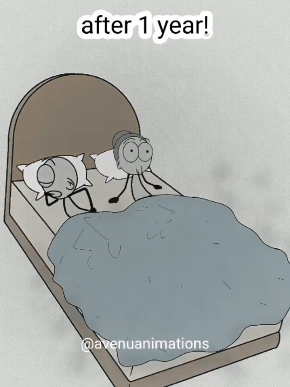 @avenuanimations0 newly married couples. funny cartoon videos #creatorsearchinsi...