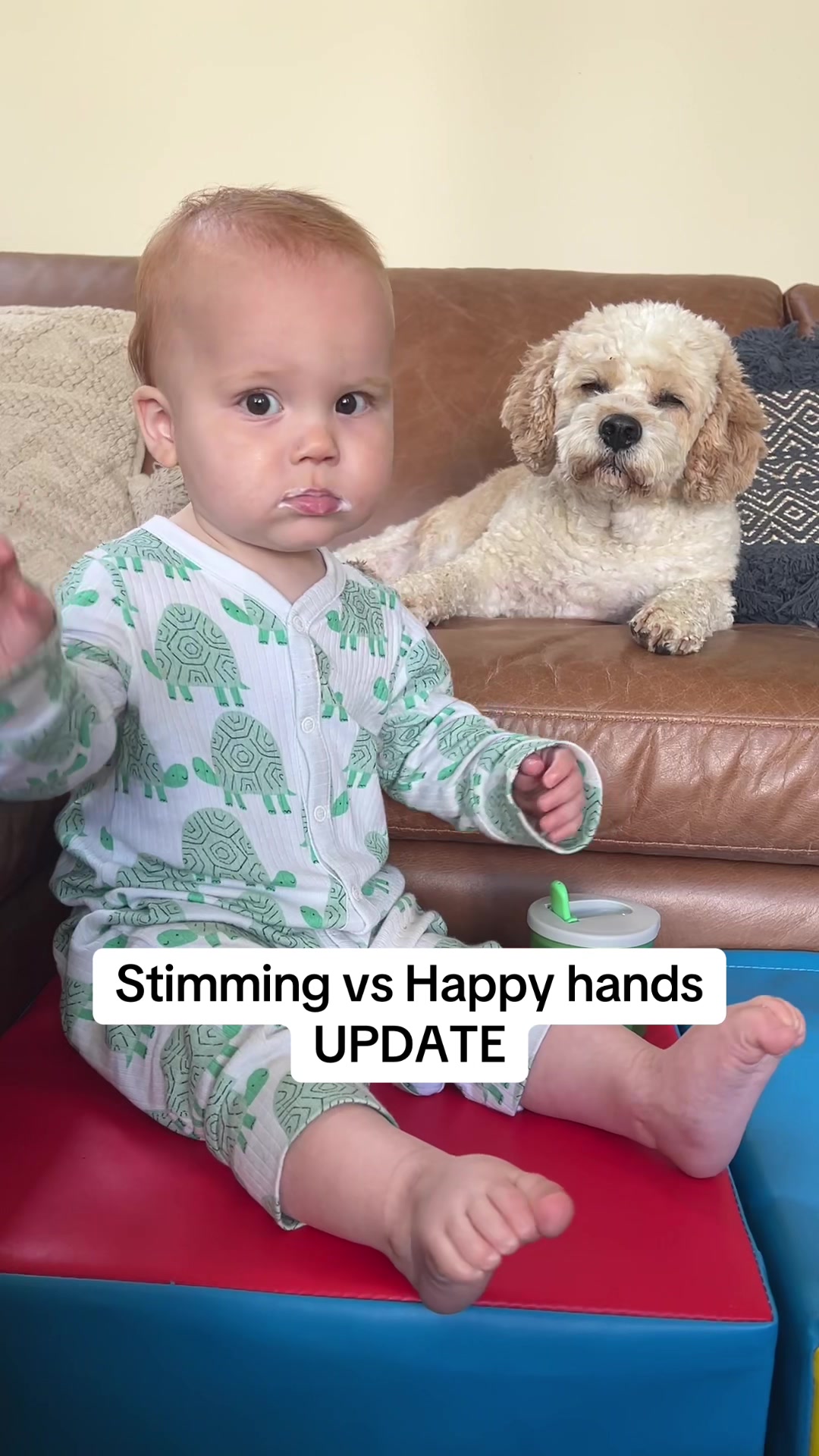 @barnosworld So many people said his stimming would stop once he started crawlin...