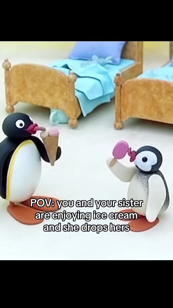 @nootxyz It’s always funny #nootnoot #pingu #sisters  ...