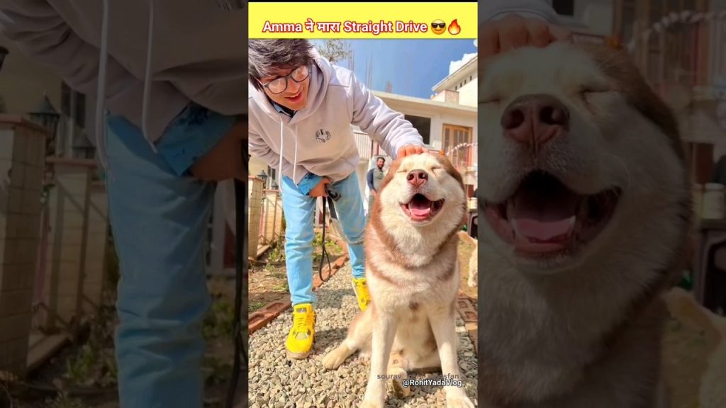 Amma के आगे कोई बोल सकता है ? 😂😂😎💯 #souravjoshivlogs #newvlog #2024 #piyushjoshi #sahiljoshivlogs