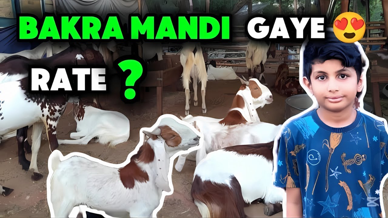 Bakra Mandi Gaey | Bakron ka kia  Rate h? | bakra mandi 2025 | qurbani 2025