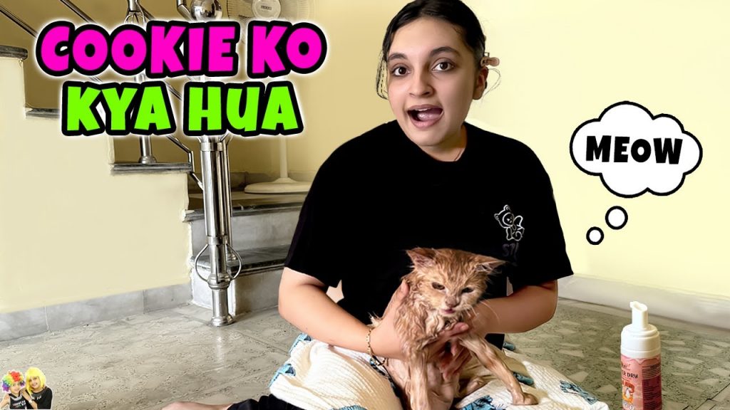 COOKIE KO KYA HUA | Aayu and Pihu Show