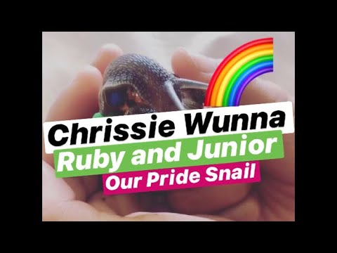 Chrissie Wunna/ Ruby Junior/ ‘Our Pride Snail’